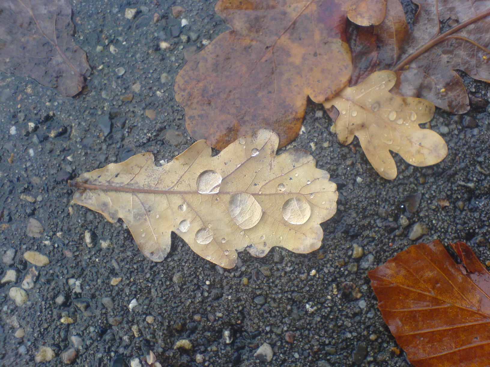 udstilling marts 16_html_4b8ae2f4